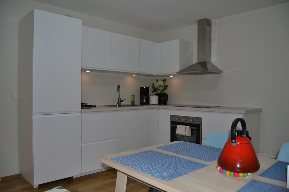 Totally independent apartment near NTNU,Lerkendal and Center Apartment in Trondheim