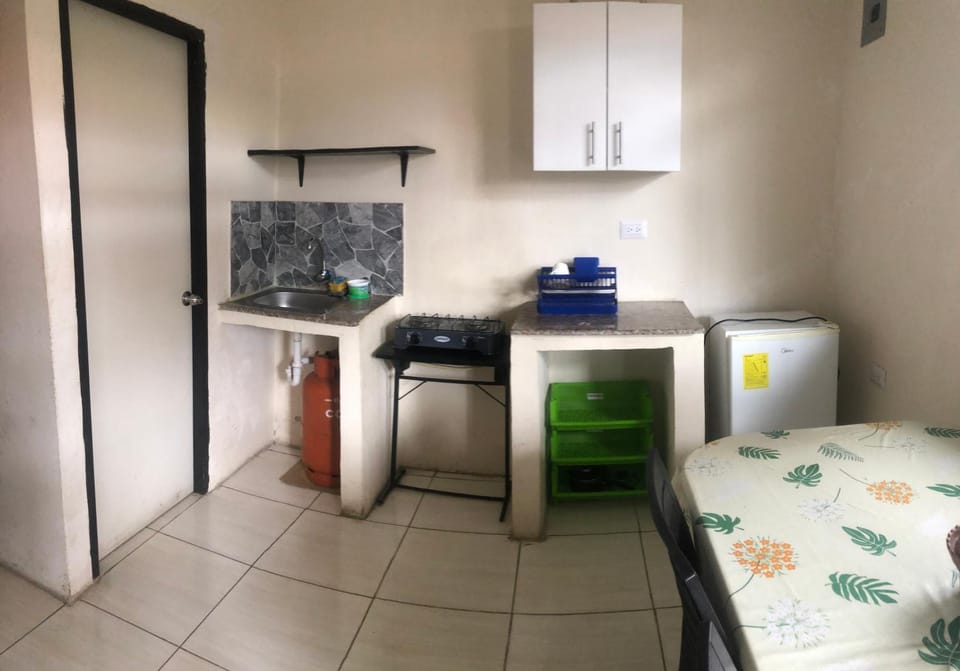 Suite Palmer Apartment in Santa Elena Province