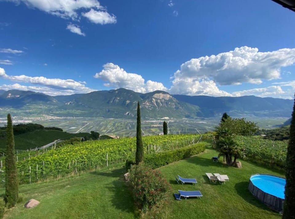 Santlhof - Sauvignon Apartment in Trentino-South Tyrol
