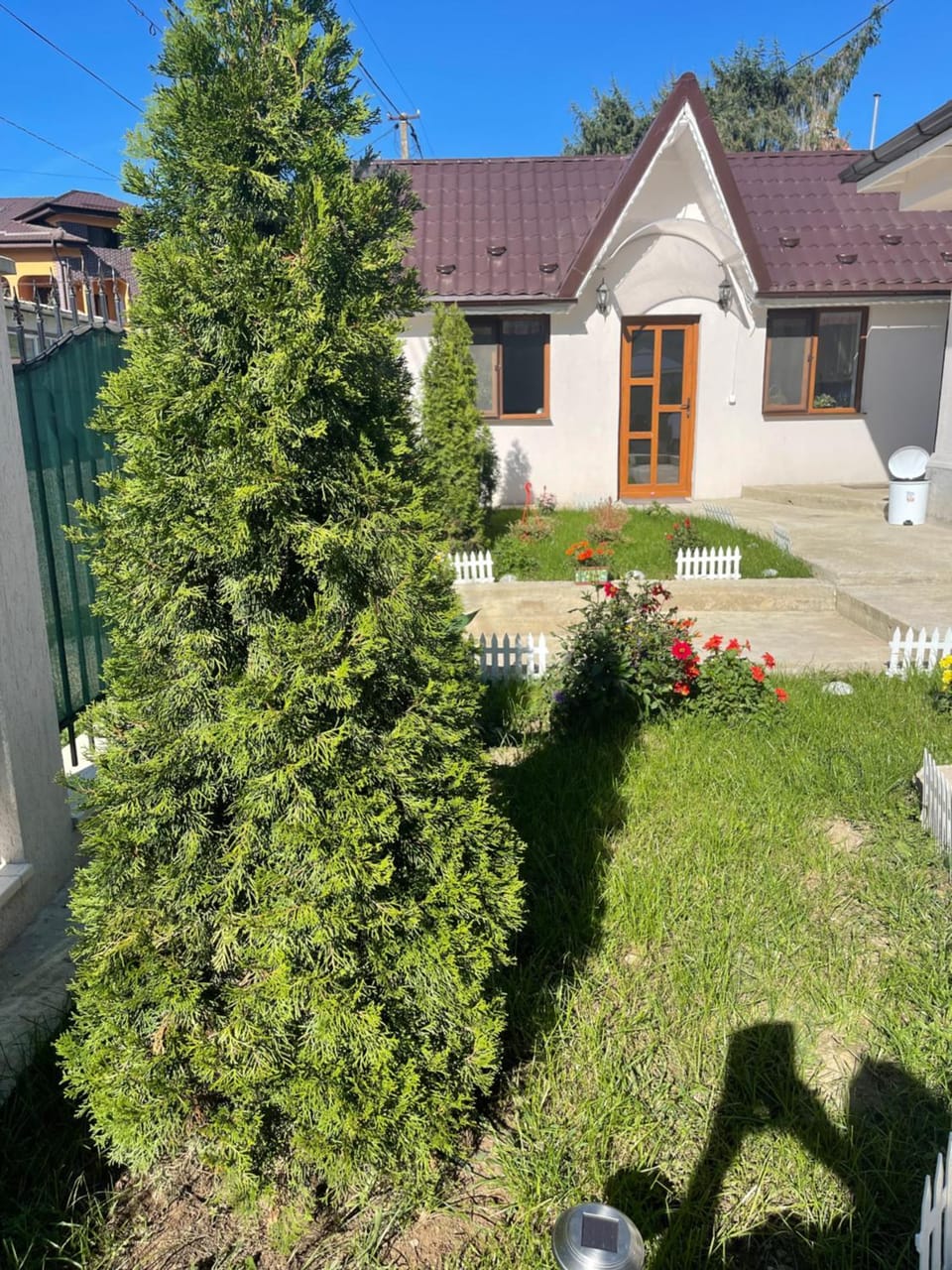 Casa Roa Bed and Breakfast in Prahova, Romania