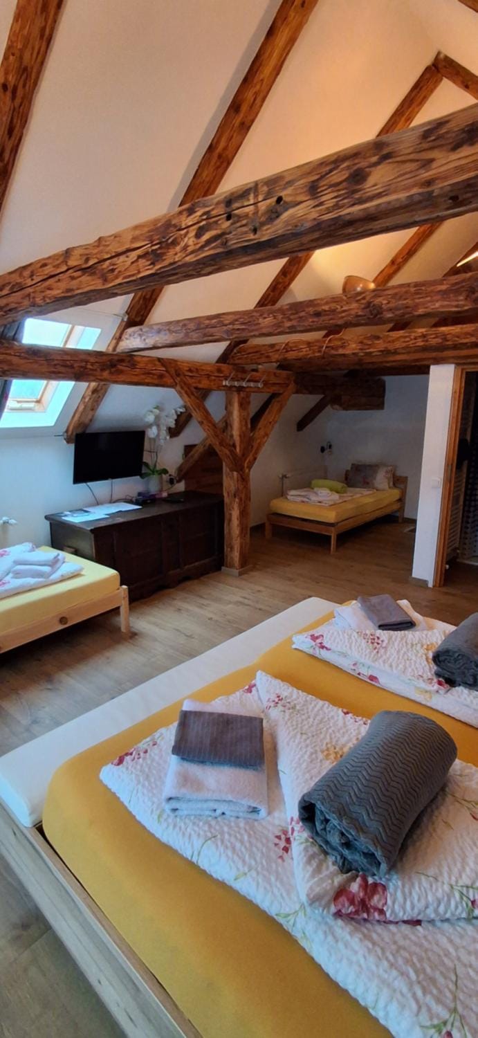 Bed & Breakfast - K2 Brunnen Haus Bed and Breakfast in Carinthia, Austria