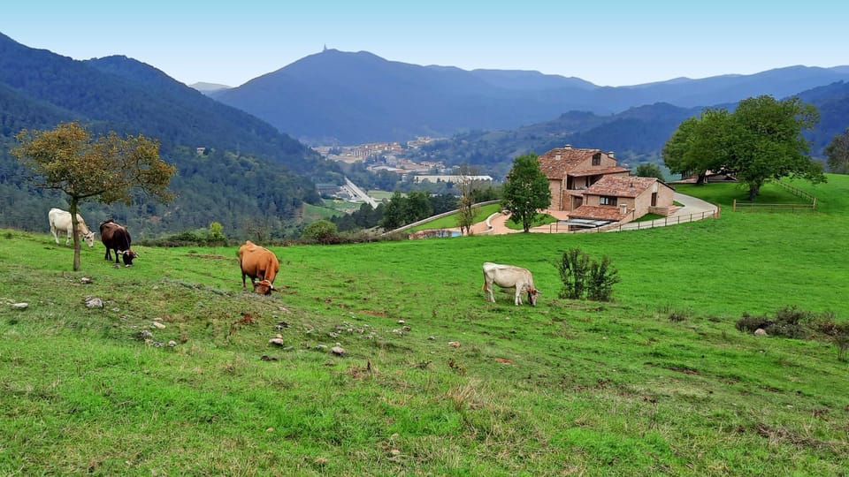 El Guitart - Turisme Rural Country House in Ripollès