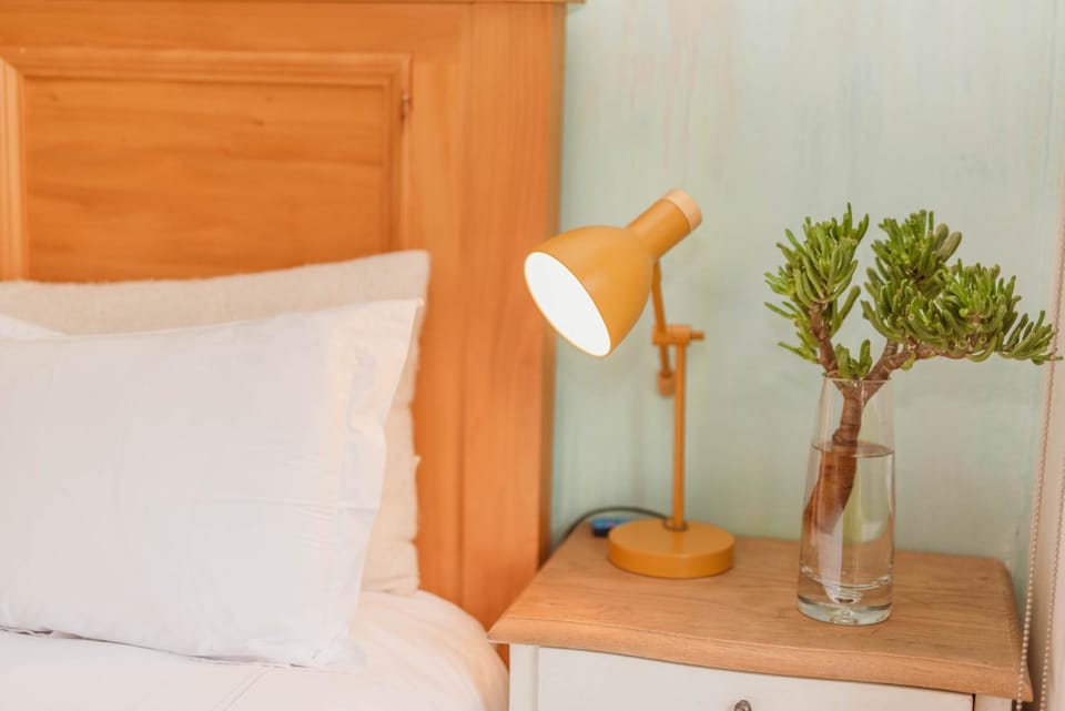 Home in Cape Town-The Homestead House in Stellenbosch