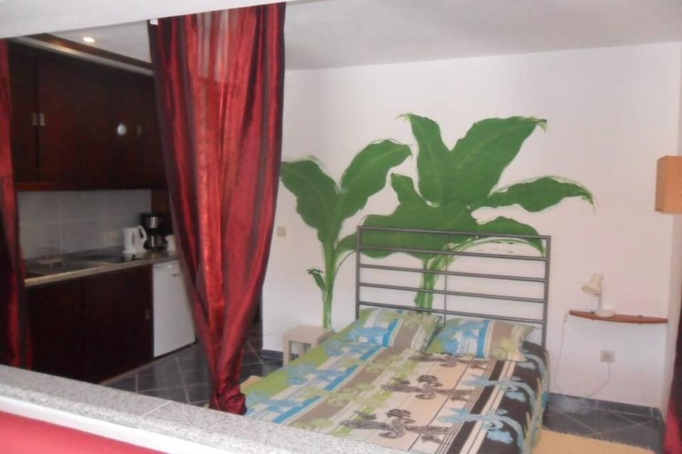 studio Mira Apartment in Porto District