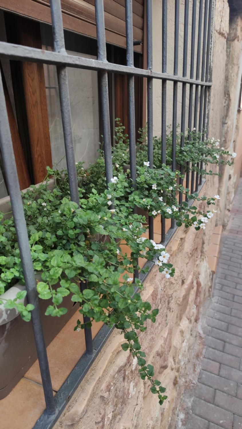 Descubre el Señorío House in Castile-La Mancha