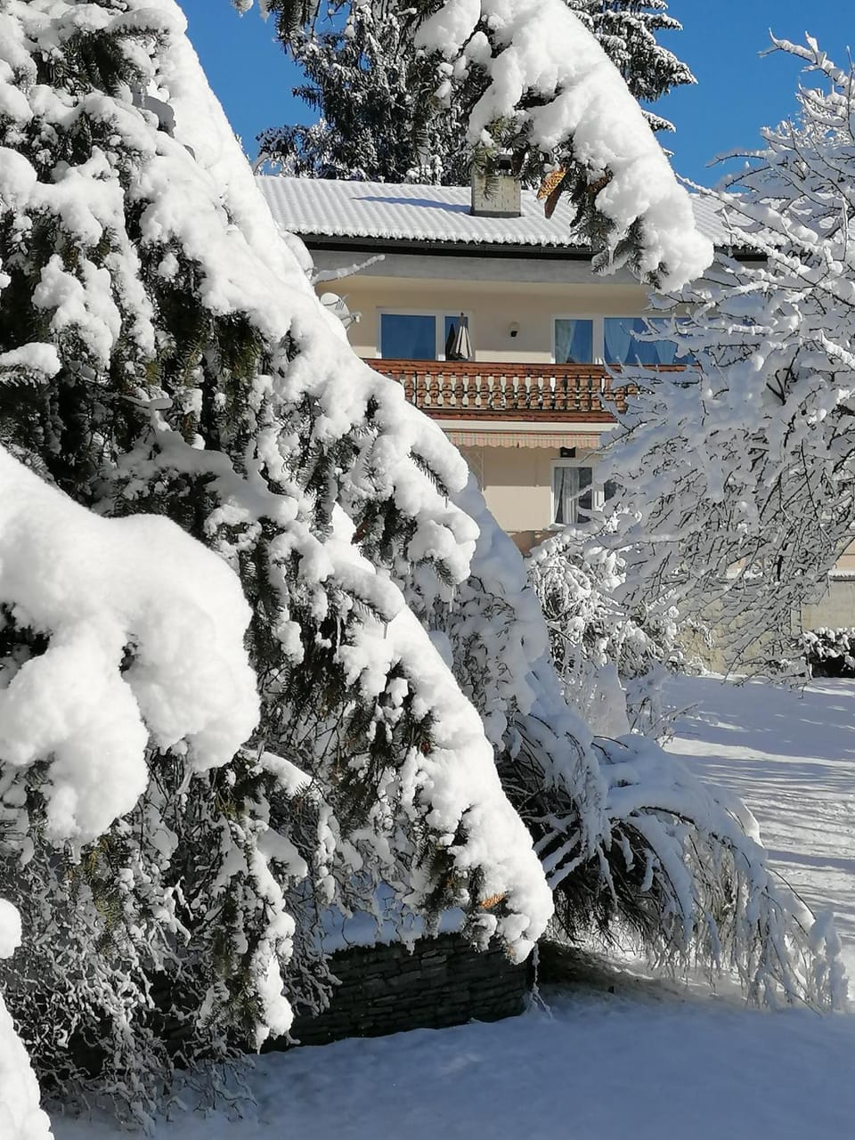 Property building, Winter