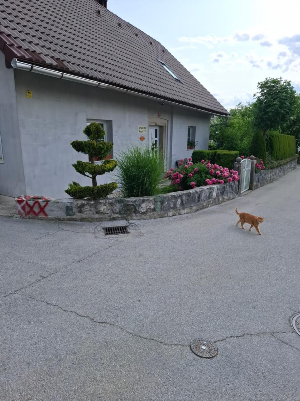Apartmaji Magda Apartment in Carinthia, Austria