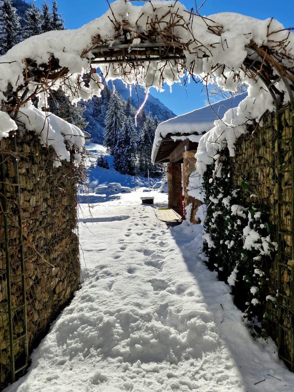 Natural landscape, Winter