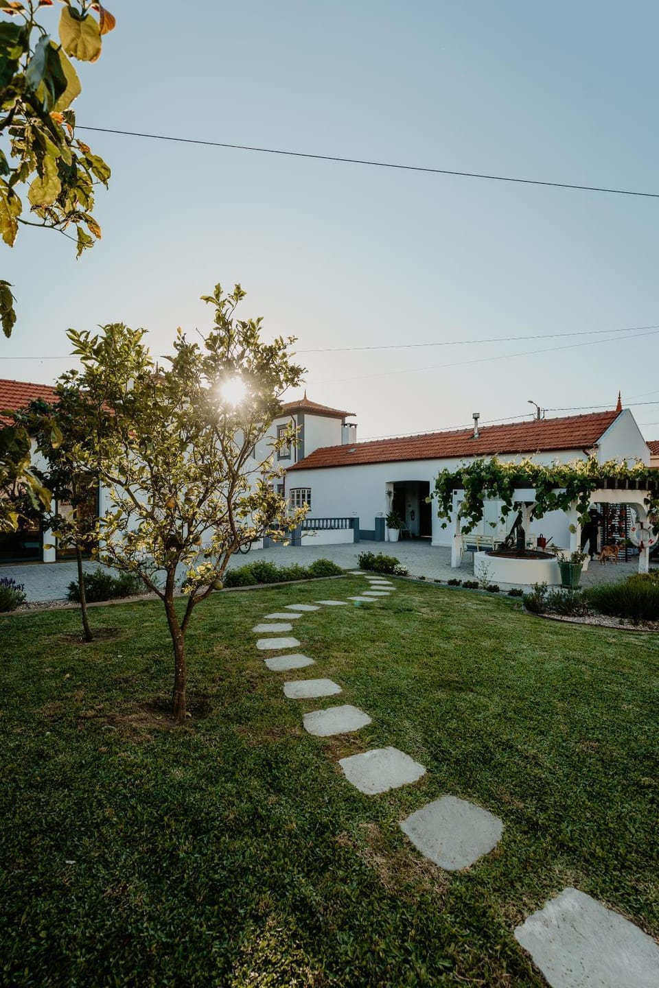 Property building, Garden, Garden view