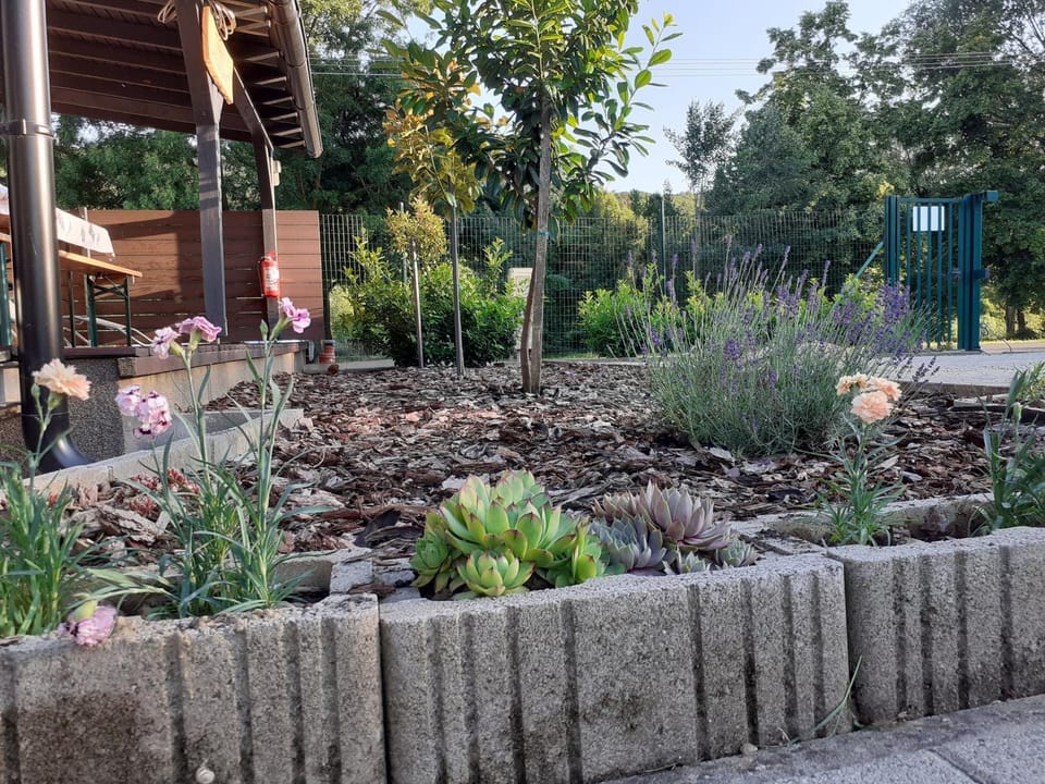 Spring, Garden, Garden view