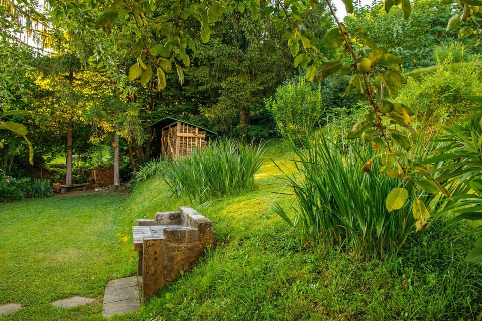 Natural landscape, Garden