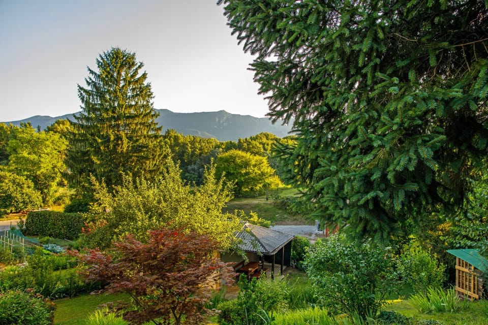 Property building, Garden, Mountain view