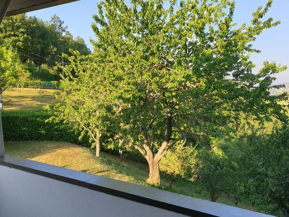 Balcony/Terrace, Garden view