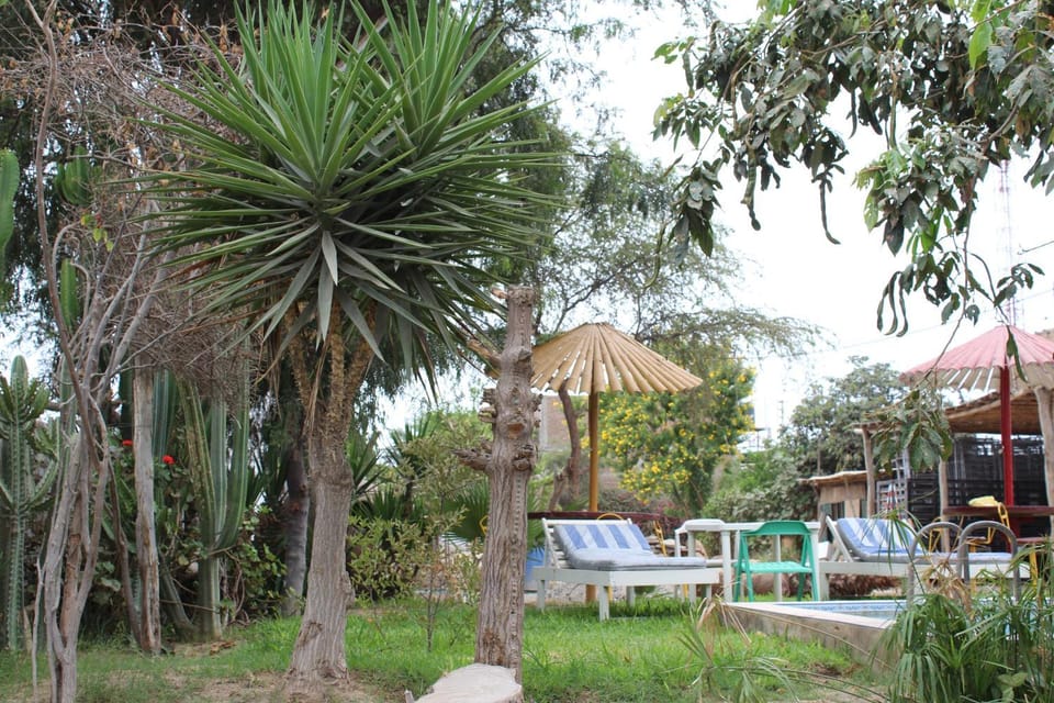 Hostal Loma Blanca Bed and Breakfast in Ica
