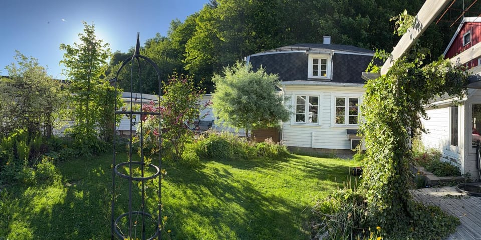 Property building, Garden view
