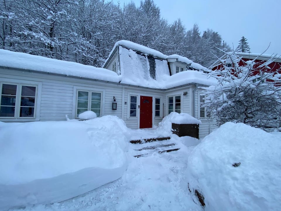 Winter