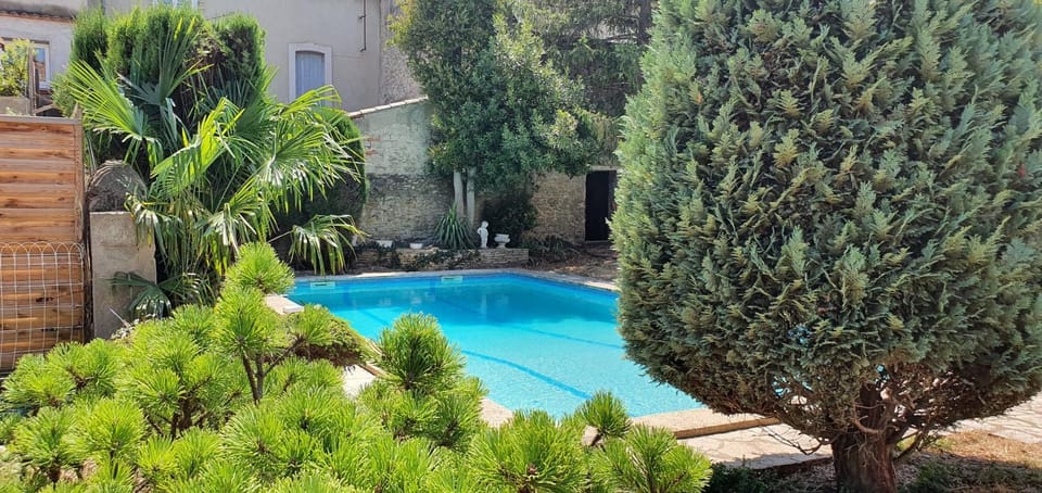 Garden, Garden view, Swimming pool