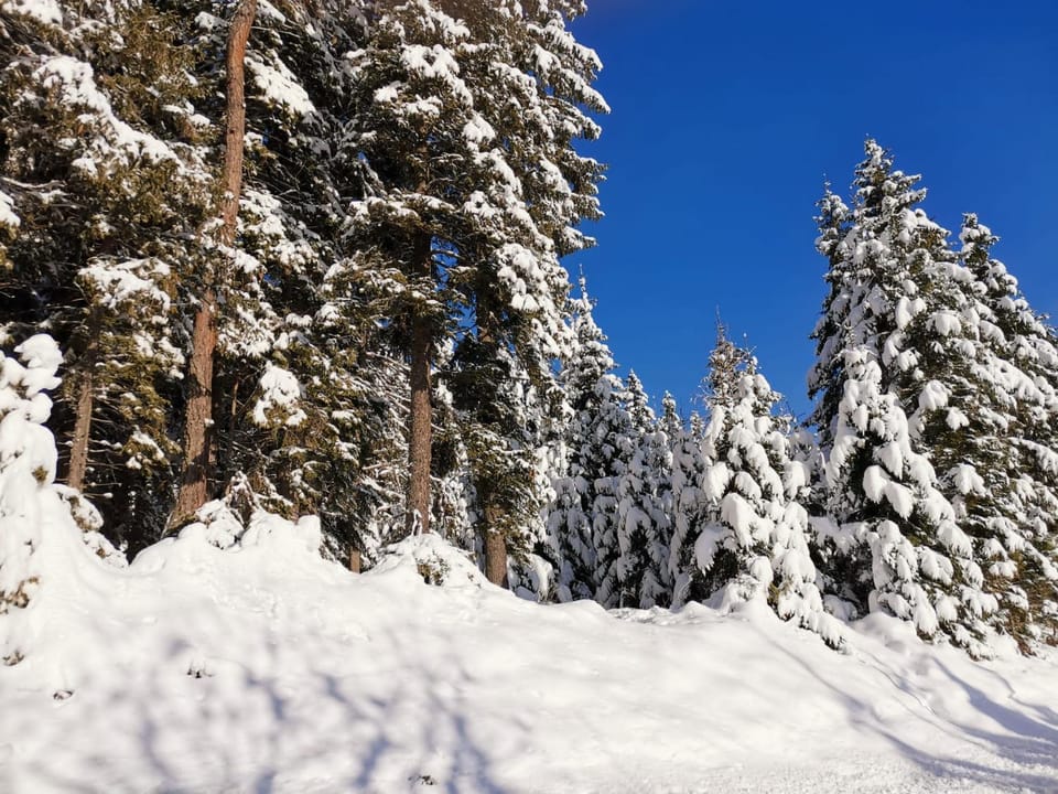 Natural landscape, Winter, Hiking