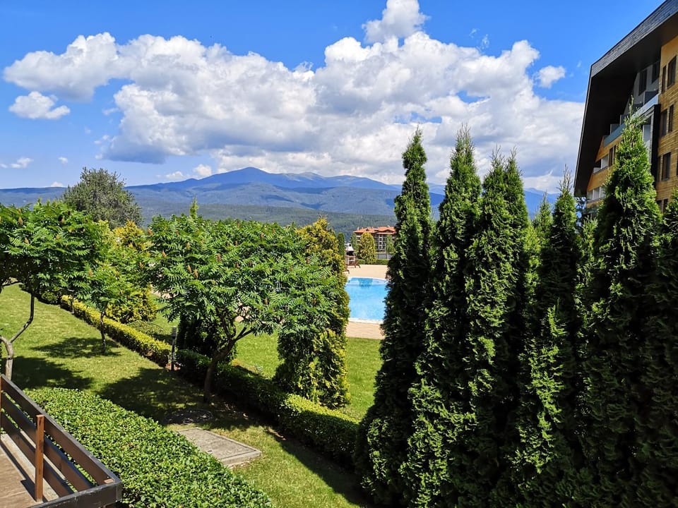 Garden view