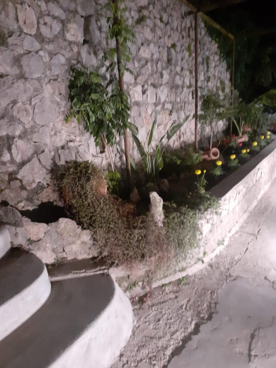 Casa Antonia Apartment in Anacapri