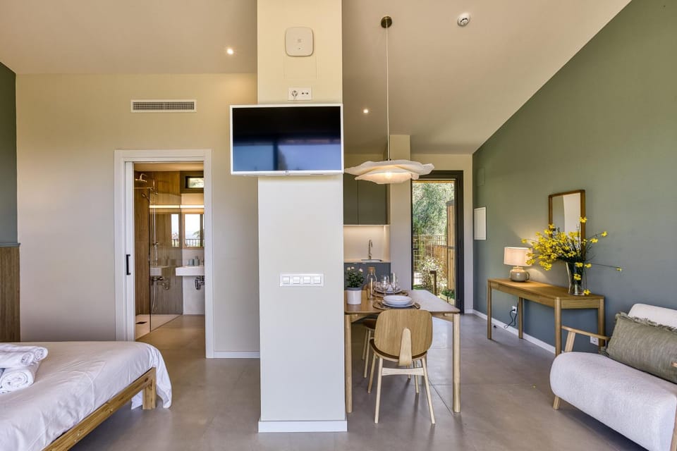 Communal lounge/ TV room, Bed, TV and multimedia, Kitchen or kitchenette, Living room, Photo of the whole room, Seating area, Dining area, Evening entertainment, Bedroom