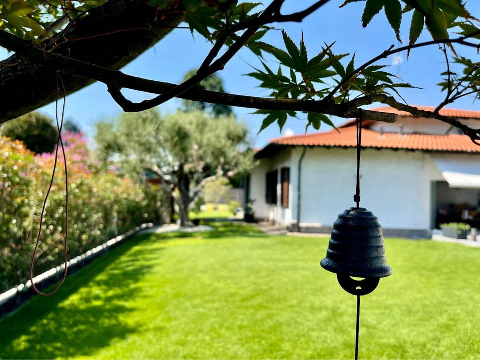 Property building, Garden, Garden