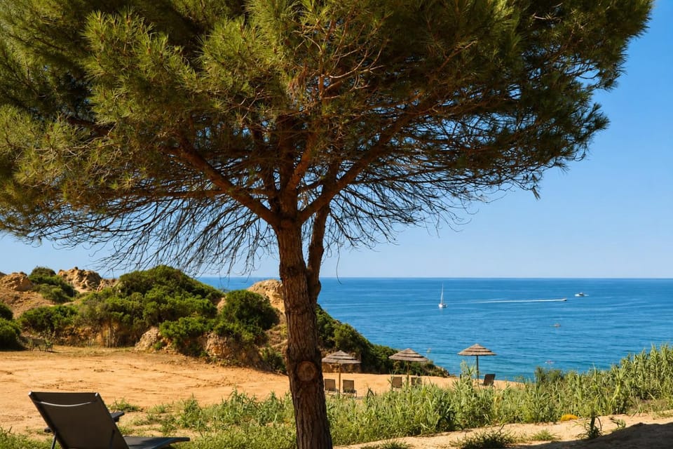 Natural landscape, Sea view