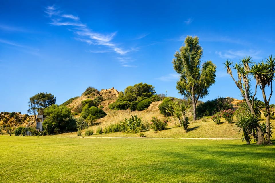 Natural landscape, Garden