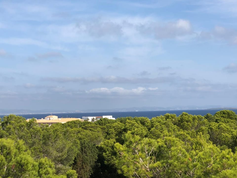 Sea view