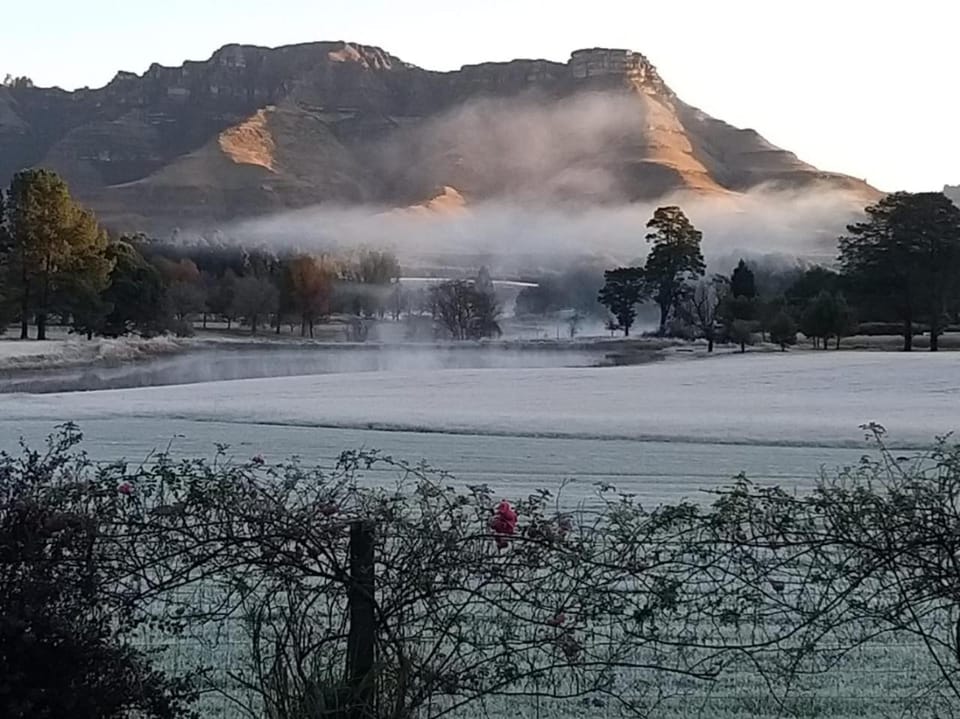 Mountain view