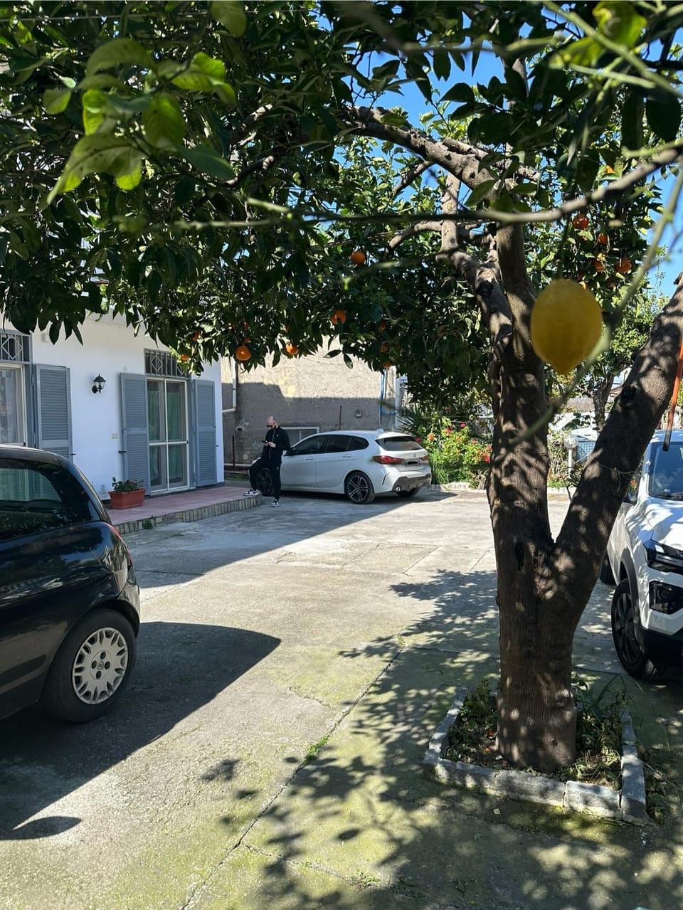 Day, Neighbourhood, Parking