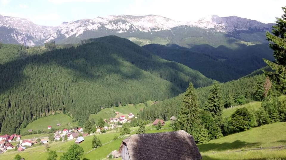 ALEGRIA - MOIECIU DE SUS Bed and Breakfast in Brașov County