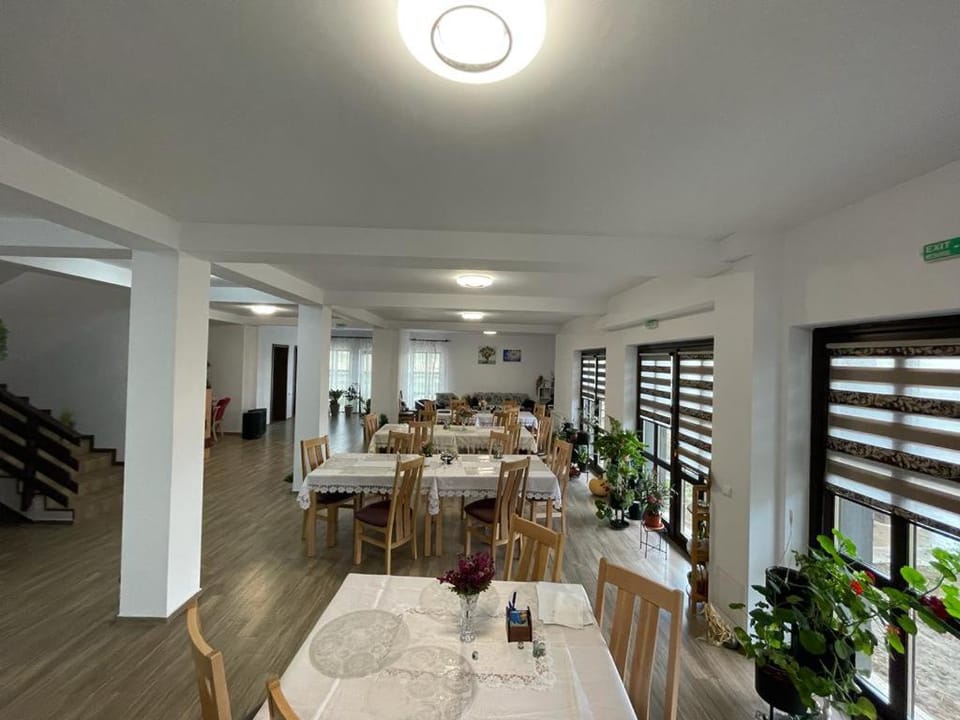 PENSIUNEA CAMELIA Bed and Breakfast in Constanța County