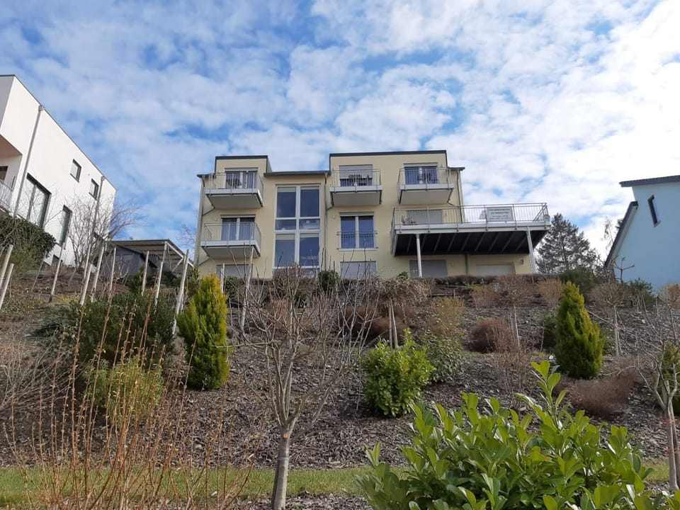 Property building, Day, Garden, Garden view