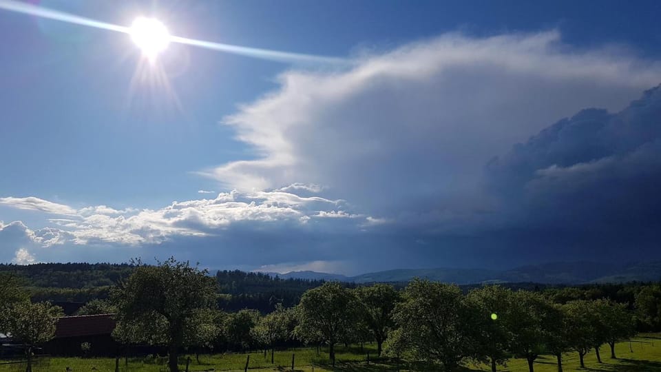 View (from property/room)