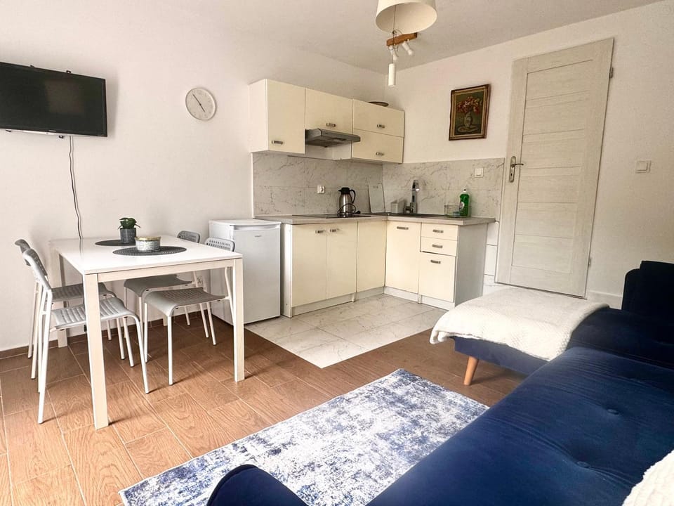 Familly Apartament 1 Apartment in Miedzyzdroje