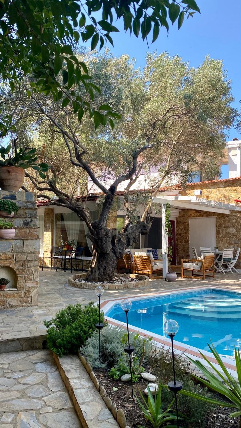 Garden, Pool view