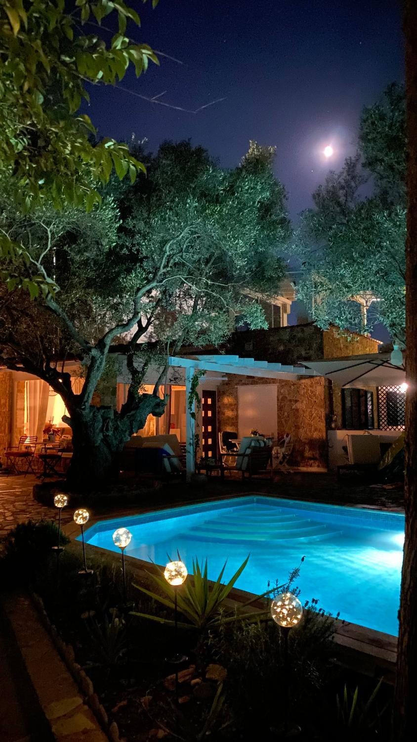 Night, Garden, Pool view