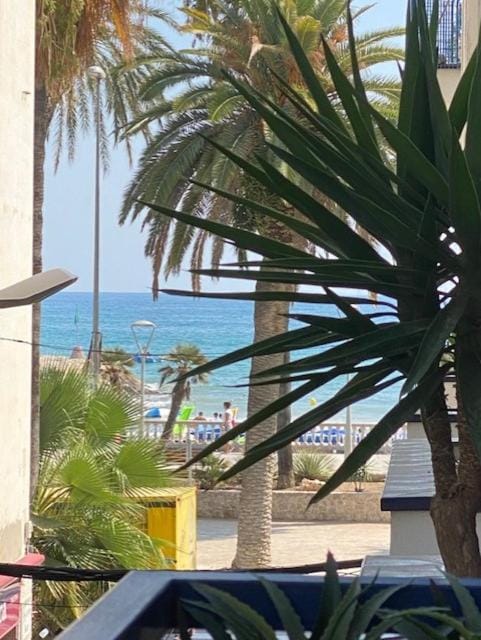 Sea view