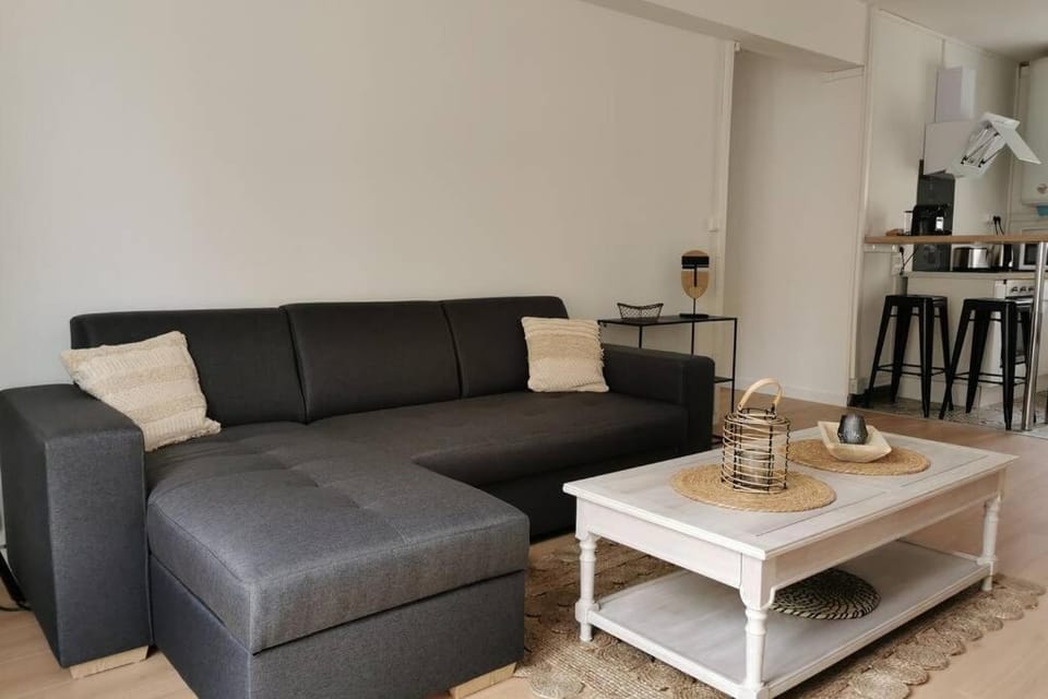 Le LORENZO - hypercentre, cosy et vue Loire Apartment in Blois