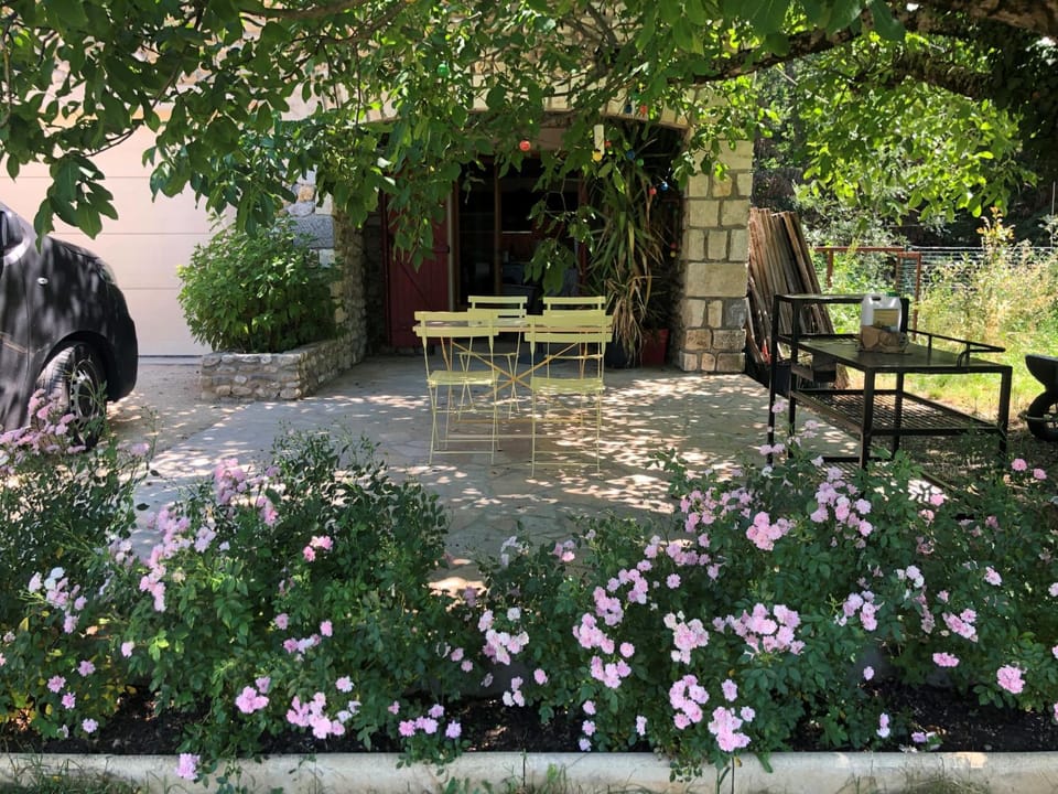 Patio, Garden