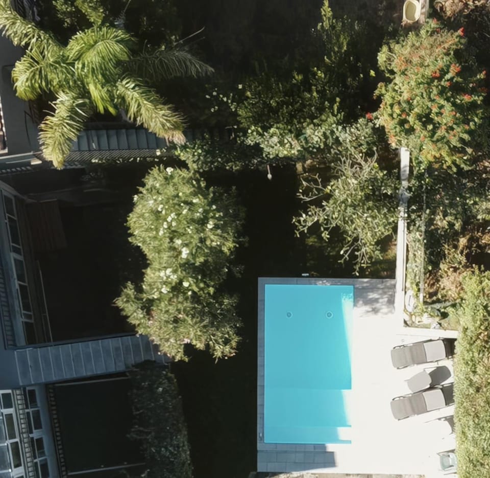 Day, Garden, Garden view, Pool view, sunbed
