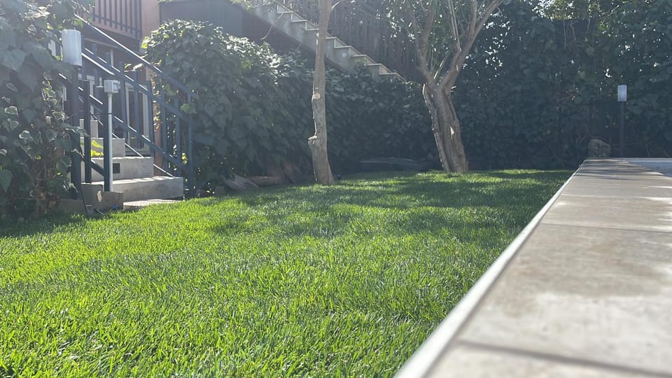 Garden, Garden view