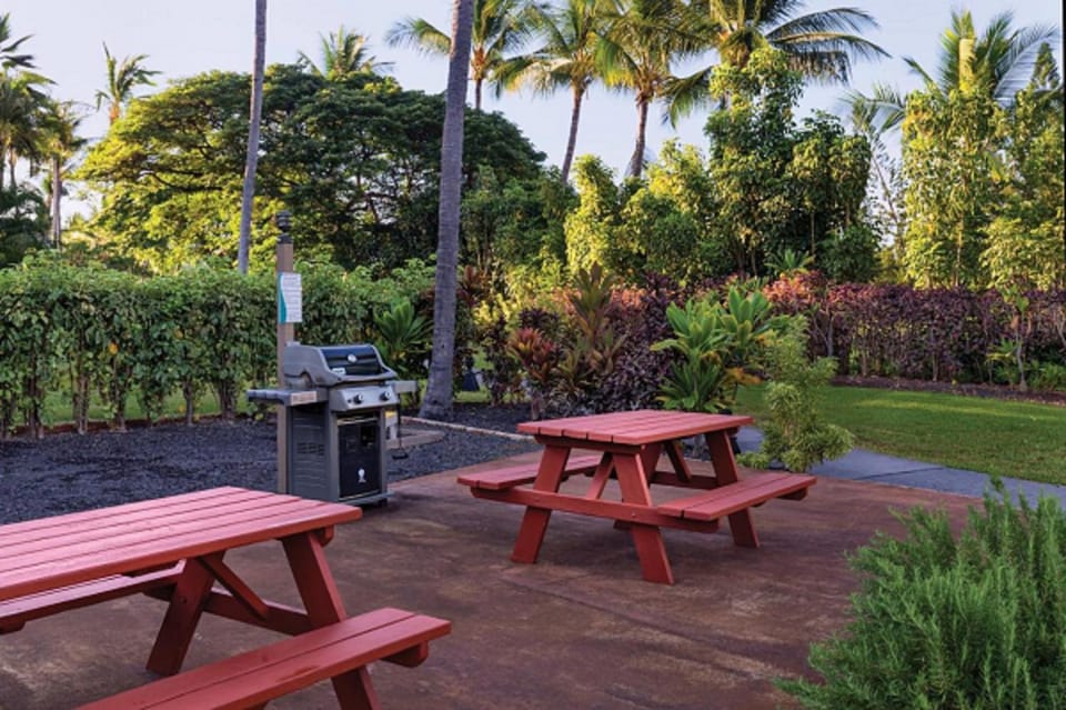 BBQ facilities