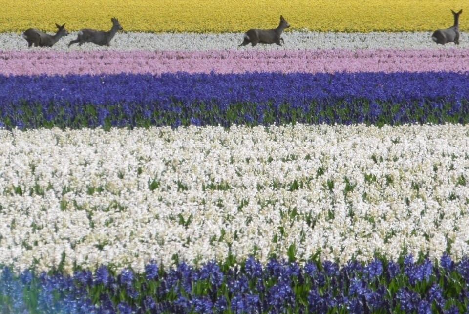 Nearby landmark, View (from property/room)