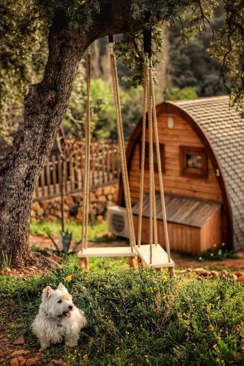 Off site, Day, Natural landscape, Garden, Pets, Garden view, Mountain view
