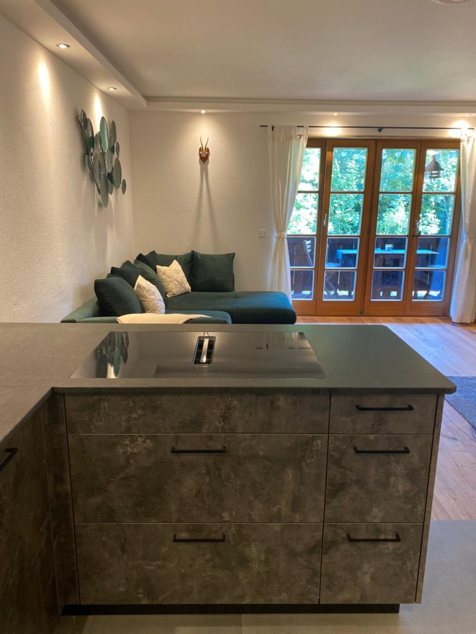 Kitchen or kitchenette, kitchen