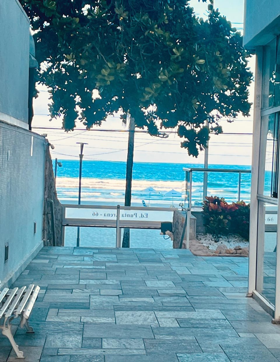 Patio, Day