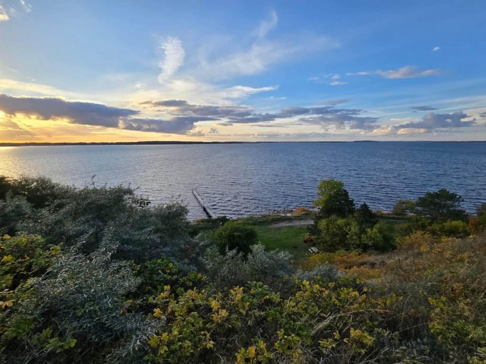 Lake view