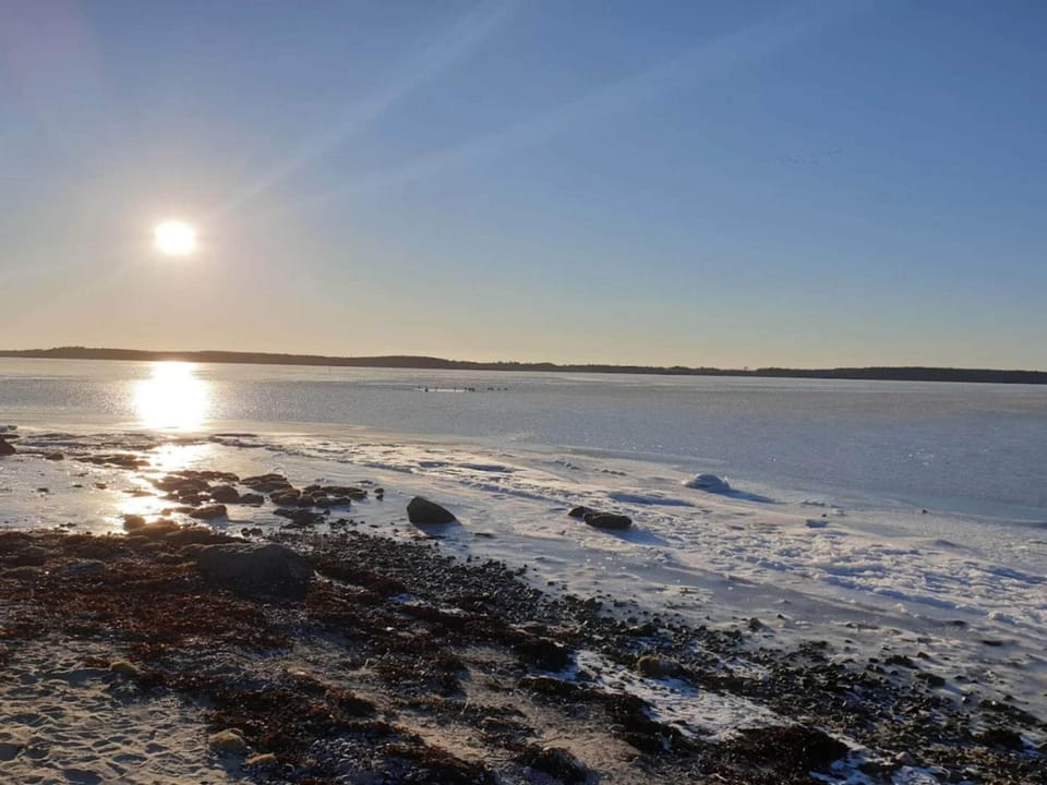 Lake view